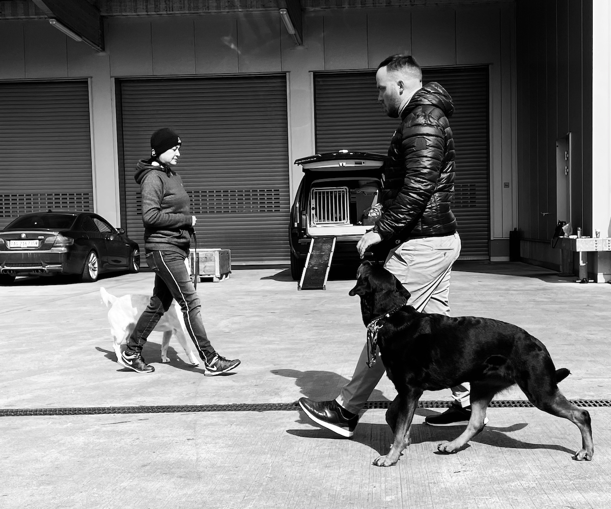 Listenhunde Training